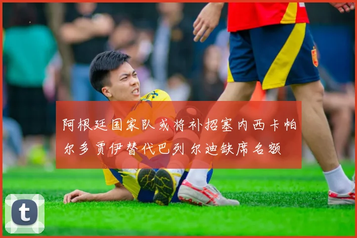 阿根廷国家队或将补招塞内西卡帕尔多贾伊替代巴列尔迪缺席名额